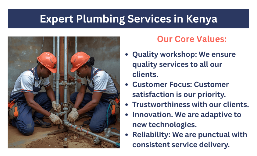 Expert Plumbing Services in Kenya